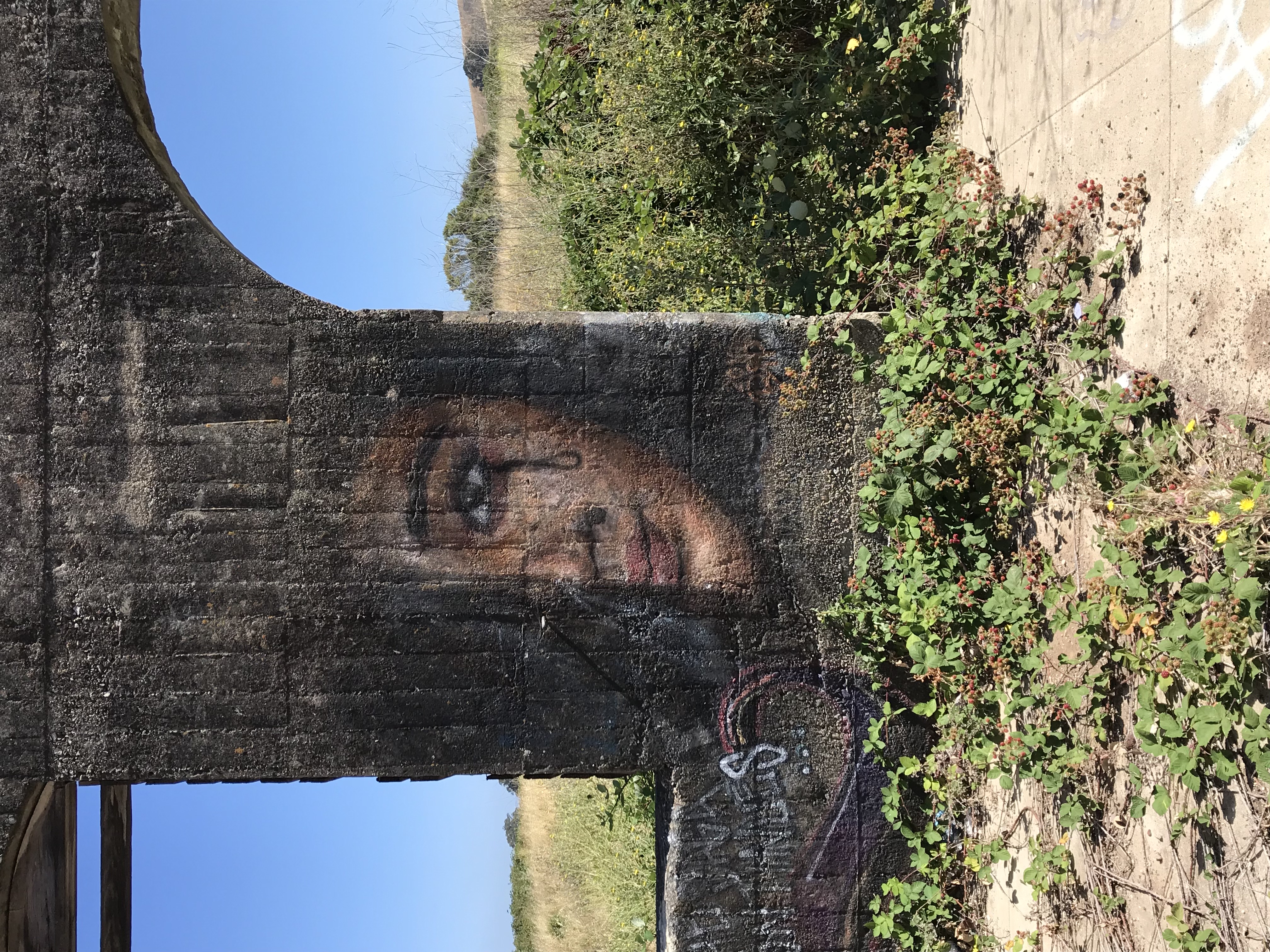 The Ruins